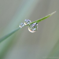 /album/galerie-photos/frida-dumont-img-4523-jpg/